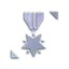 Failure Breeds Success Icon