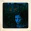 Into the Moonlight Icon