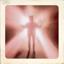 The Butterfly Icon