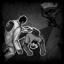 ELEPHANT IN THE ROOM Icon