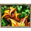Solved World 2 Icon
