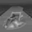 Golden Fox Icon