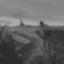 The Great King is Back Icon