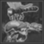Harmless Helicopter Hop Icon