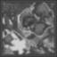Brisk Bramble Blitz Icon