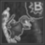 Dynamic Diddy Dink Icon
