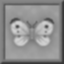 Professor of Entomology Icon