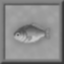 Professor of Ichthyology Icon