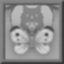 The Beauty of the Nature Icon