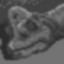 Brachiosaur Tranquilized Icon
