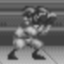 Guarding Stance Icon