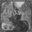 Blind Adventurer Icon