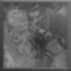 Eating Crow Icon