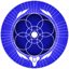 Guardian Lord Icon
