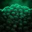 What Is Dead Can Sometimes Die Icon