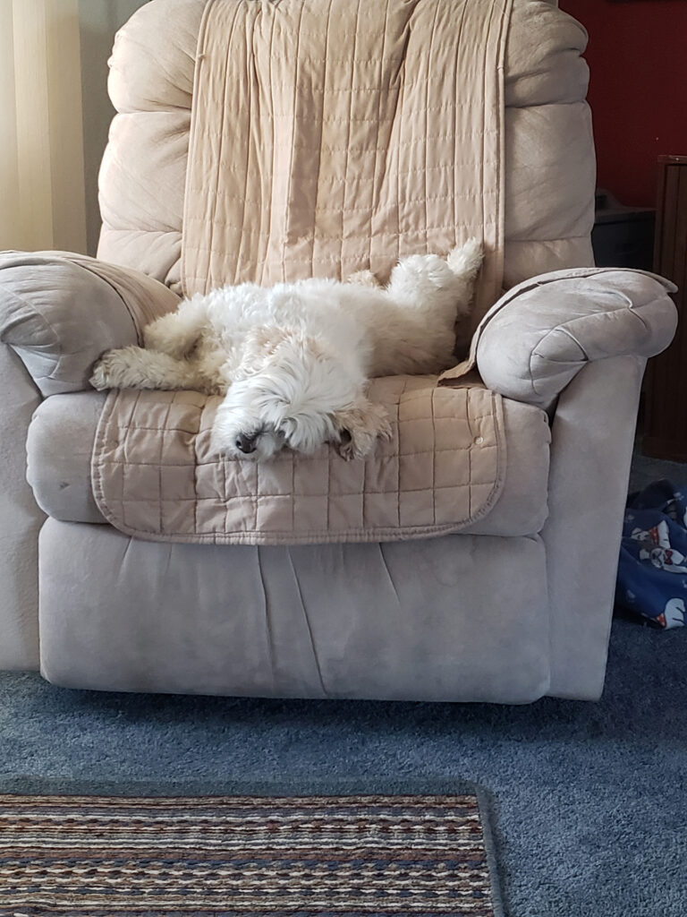 Snoopy being adorable