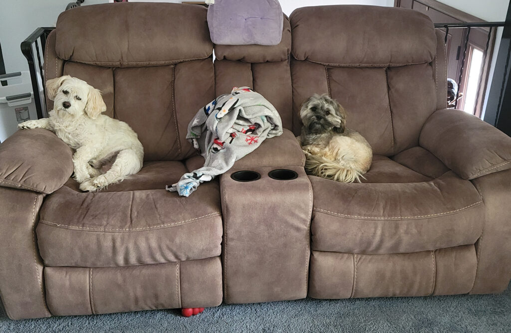 Snoopy and Shiloh on the couch
